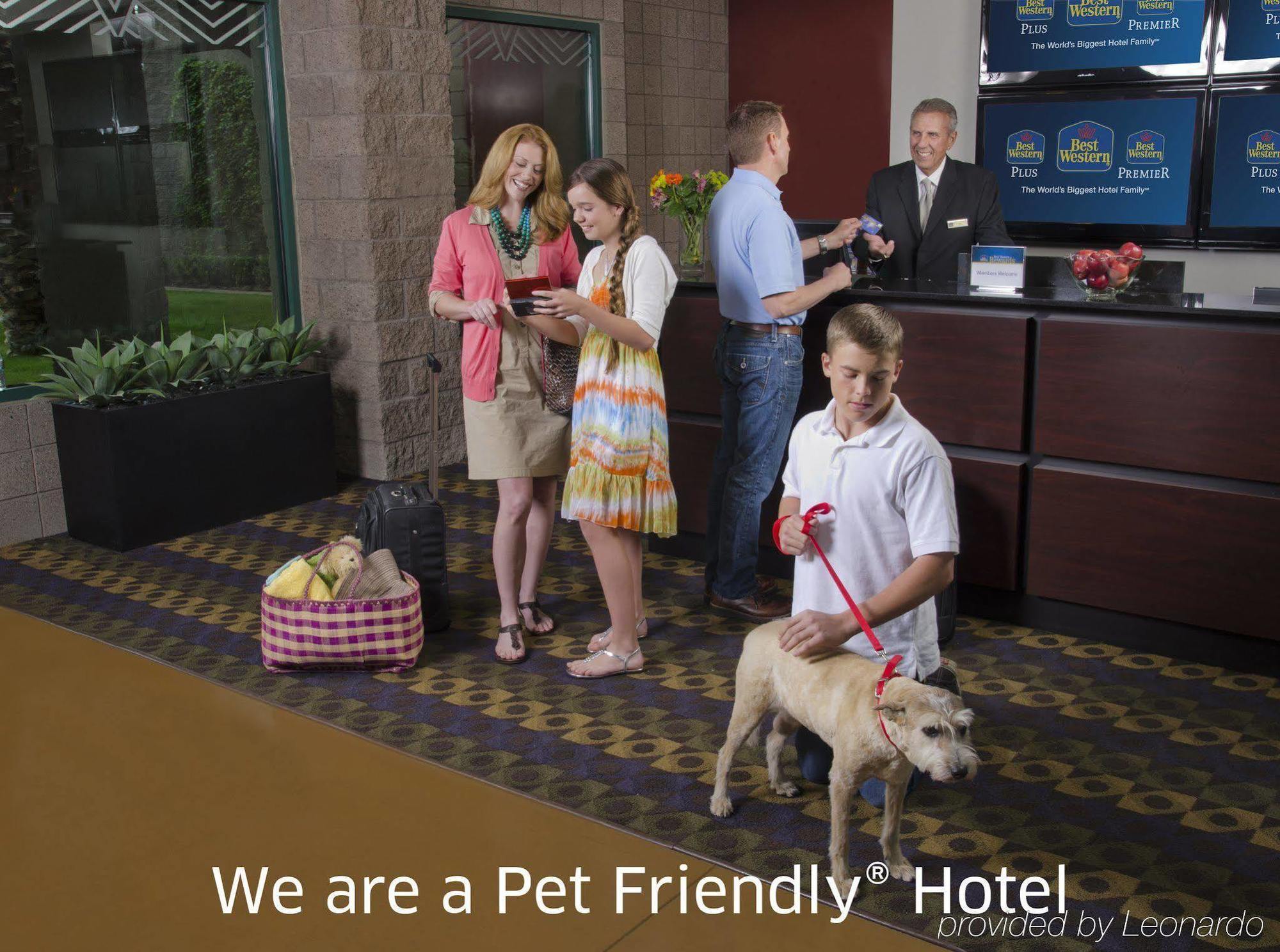 Surestay Plus Hotel By Best Western Mountain View Exteriér fotografie